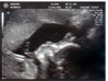 Week19-9A.jpg